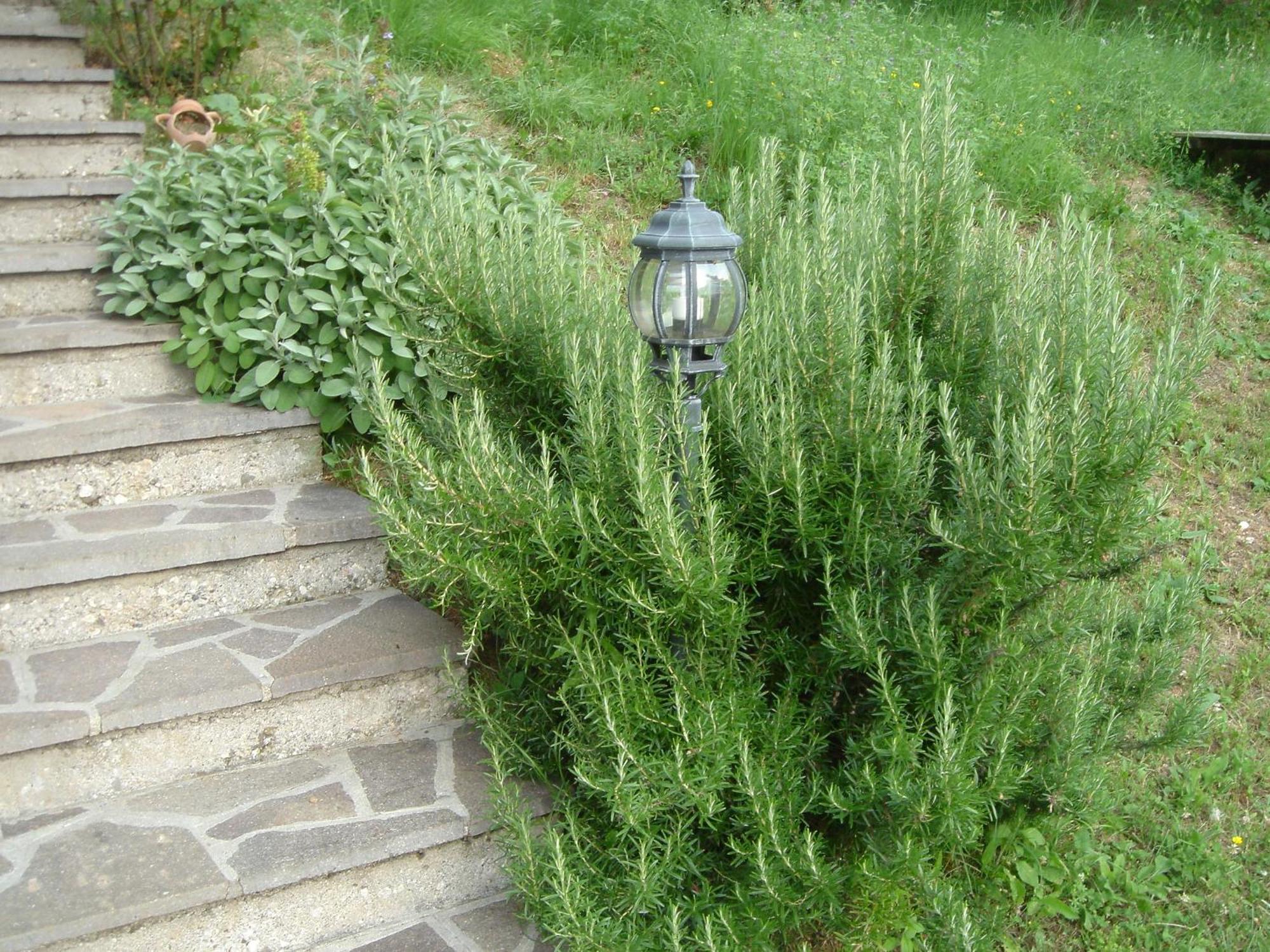 Nette Einzimmerwohnung In Le Camille Mit Grossem Garten San Zeno di Montagna Esterno foto